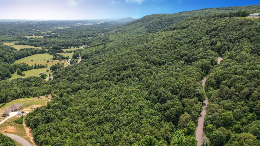 25 Escape Drive Evensville, TN 37332