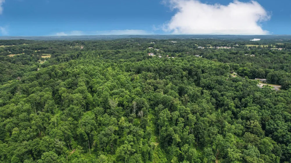 25 Escape Drive Evensville, TN 37332