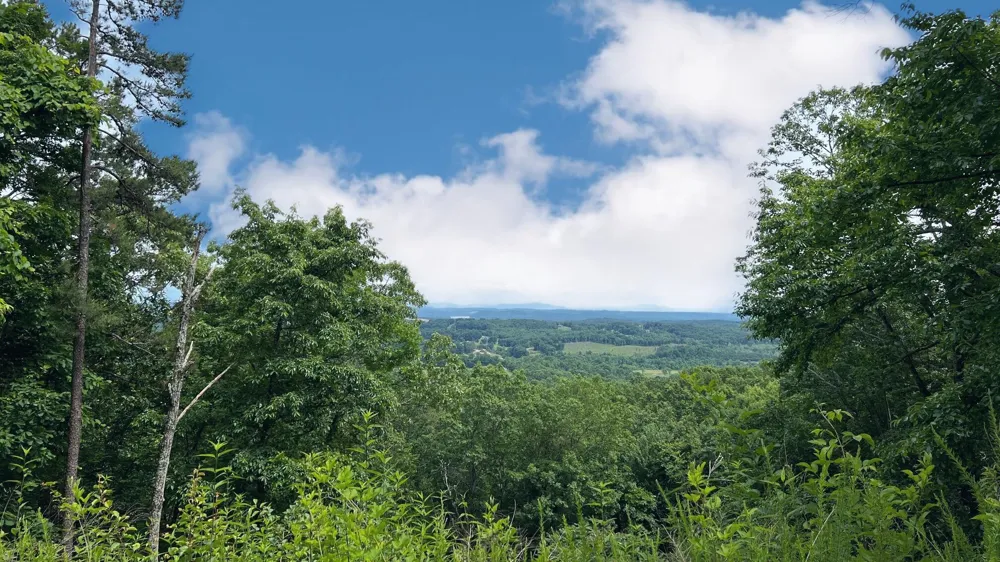 25 Escape Drive Evensville, TN 37332