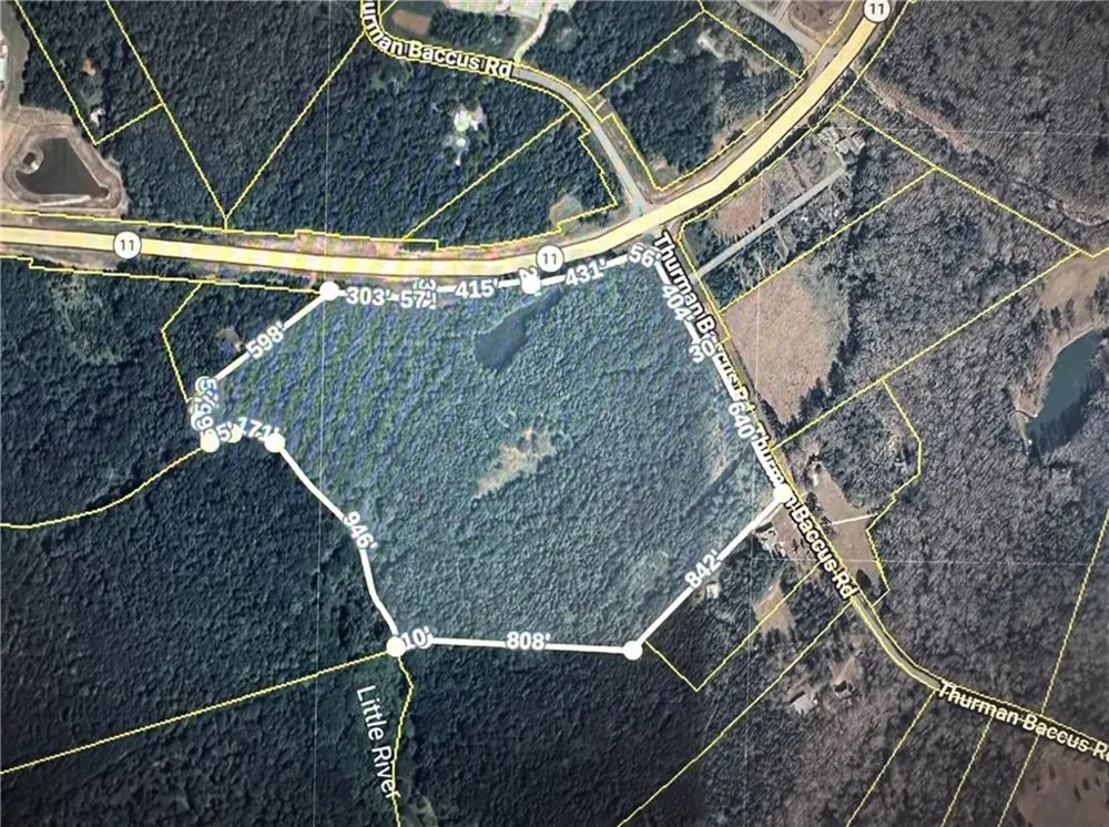 0 Thurman Baccus Road Social Circle, GA 30025