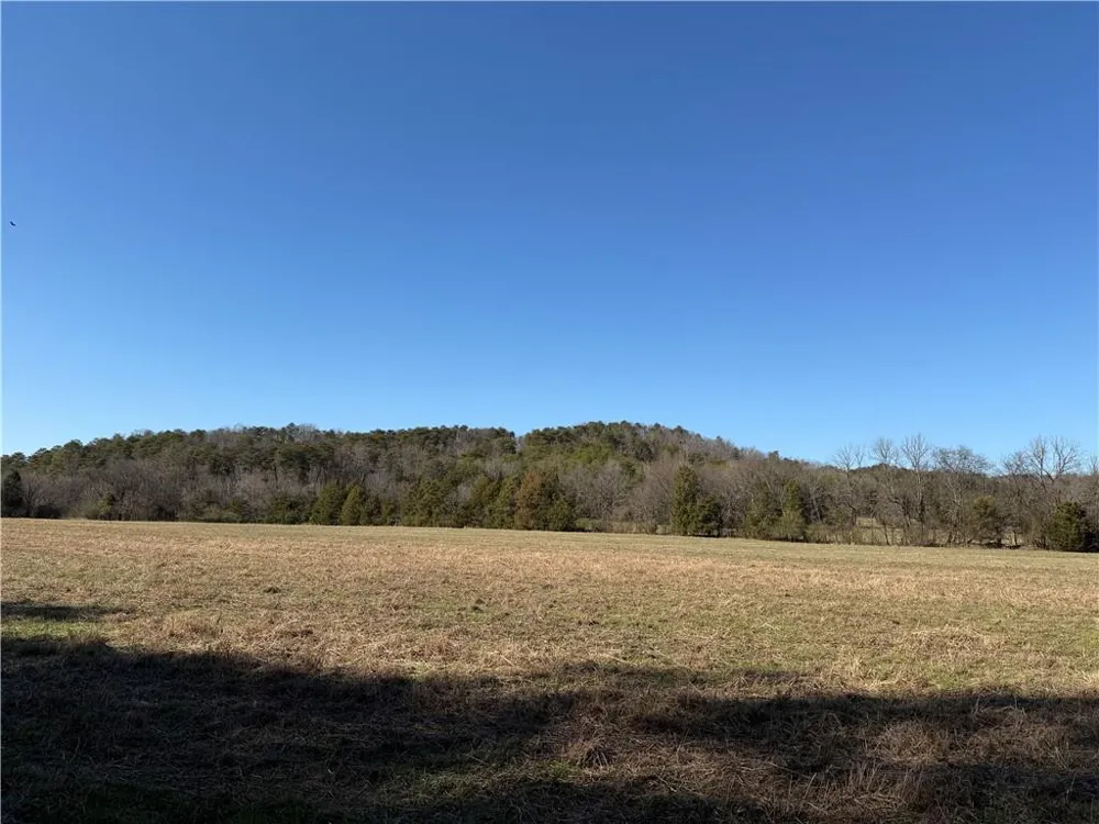000 Liberty Church Road Ranger, GA 30734