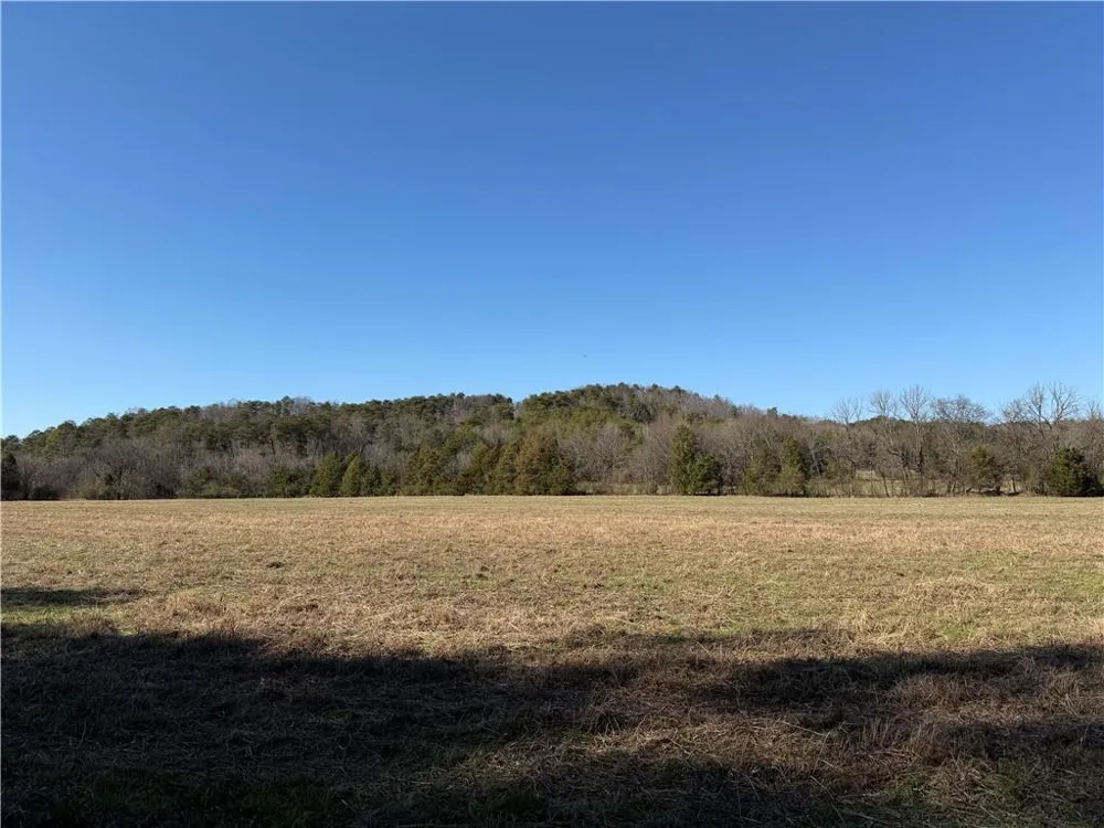 000 Liberty Church Road Ranger, GA 30734