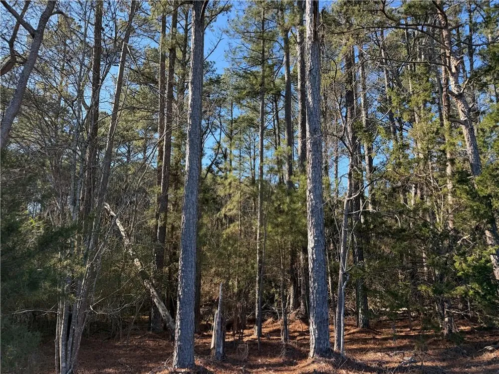000 Liberty Church Road Ranger, GA 30734