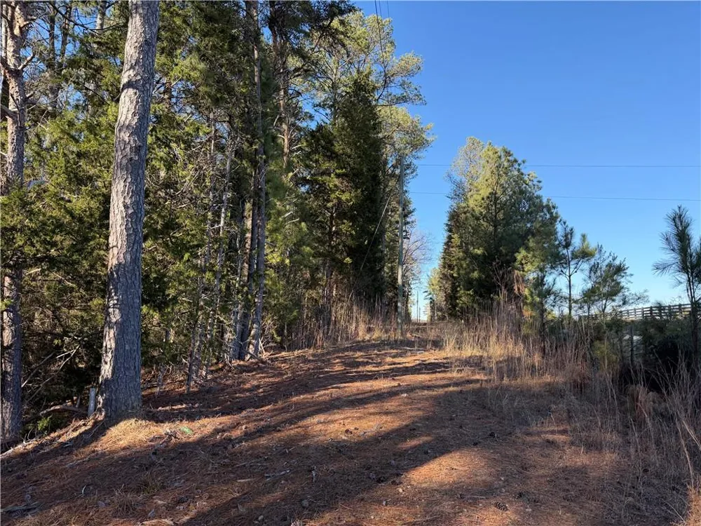 000 Liberty Church Road Ranger, GA 30734