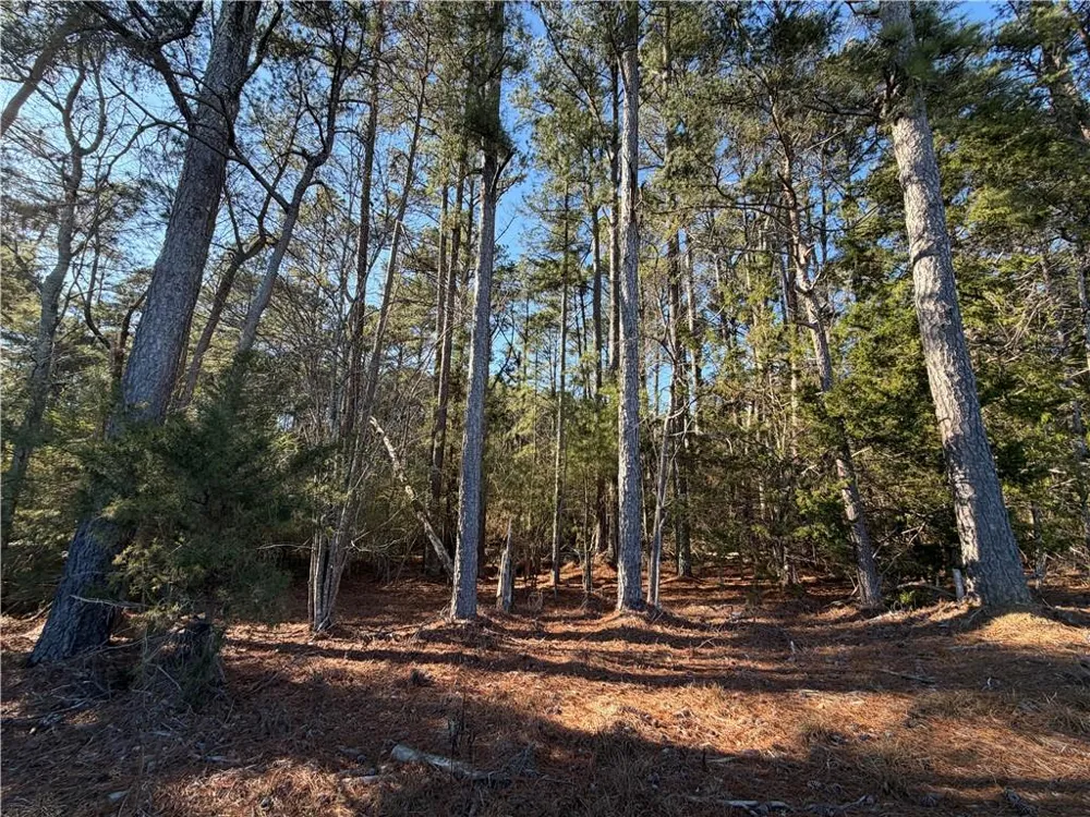000 Liberty Church Road Ranger, GA 30734