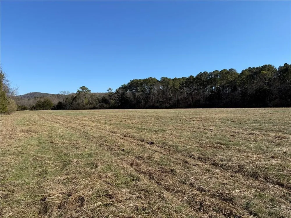000 Liberty Church Road Ranger, GA 30734