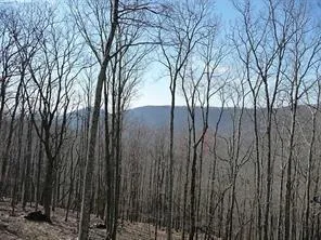 101 Deer Run