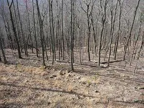 101 Deer Run Big Canoe, GA 30143