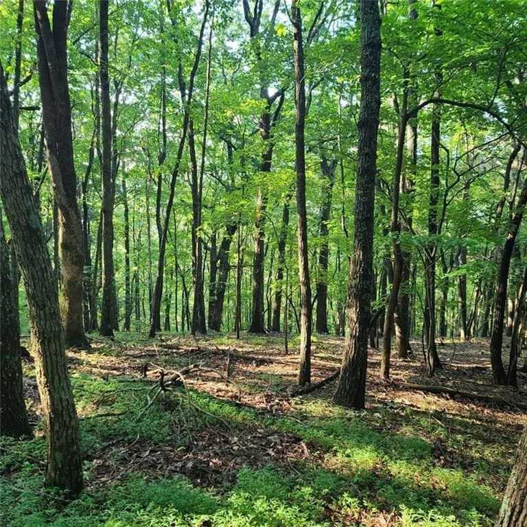 101 Deer Run Big Canoe, GA 30143