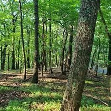 101 Deer Run Big Canoe, GA 30143