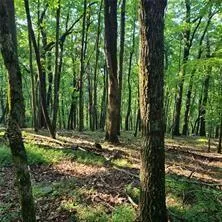 101 Deer Run Big Canoe, GA 30143