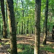 101 Deer Run Big Canoe, GA 30143