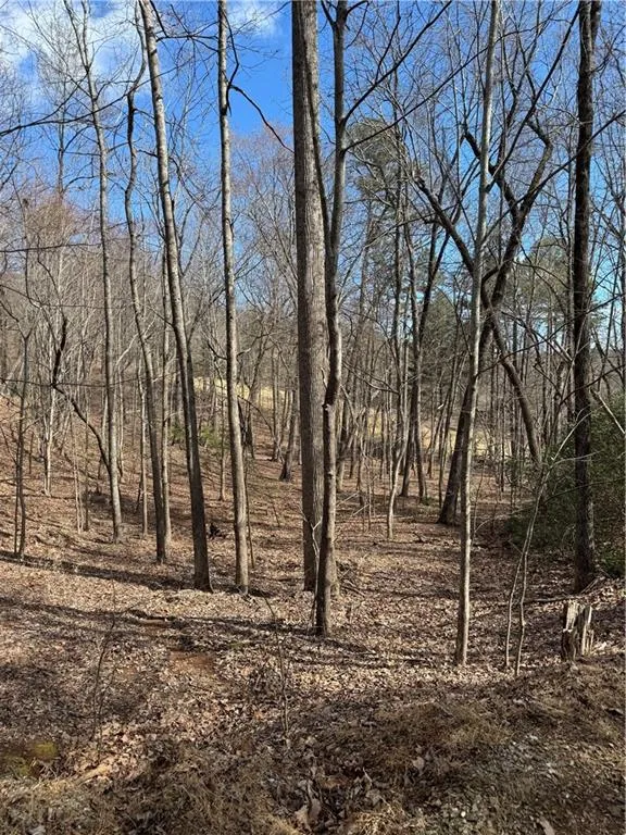 2526 Turnbury Lane Big Canoe, GA 30143