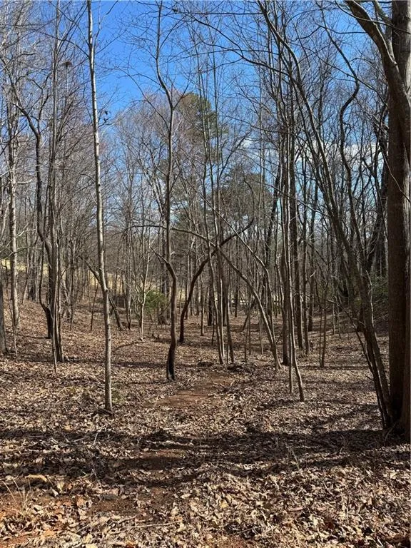 2526 Turnbury Lane Big Canoe, GA 30143