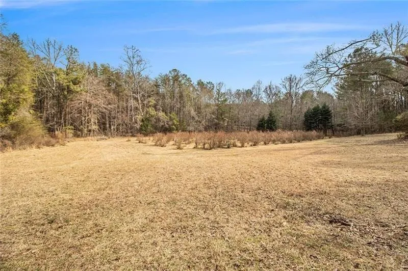 490 Dorsey Road Hampton, GA 30228