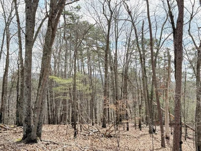 611 Pack Road NE Ranger, GA 30734