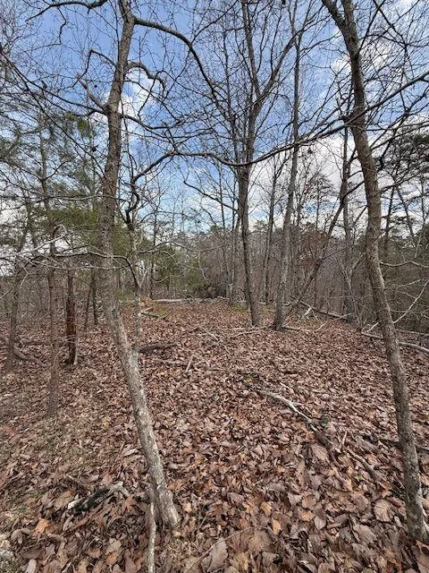 611 Pack Road NE Ranger, GA 30734