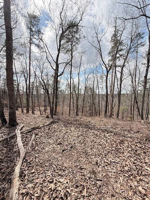 611 Pack Road NE Ranger, GA 30734