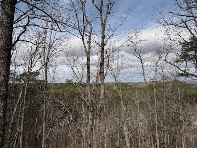 611 Pack Road NE Ranger, GA 30734