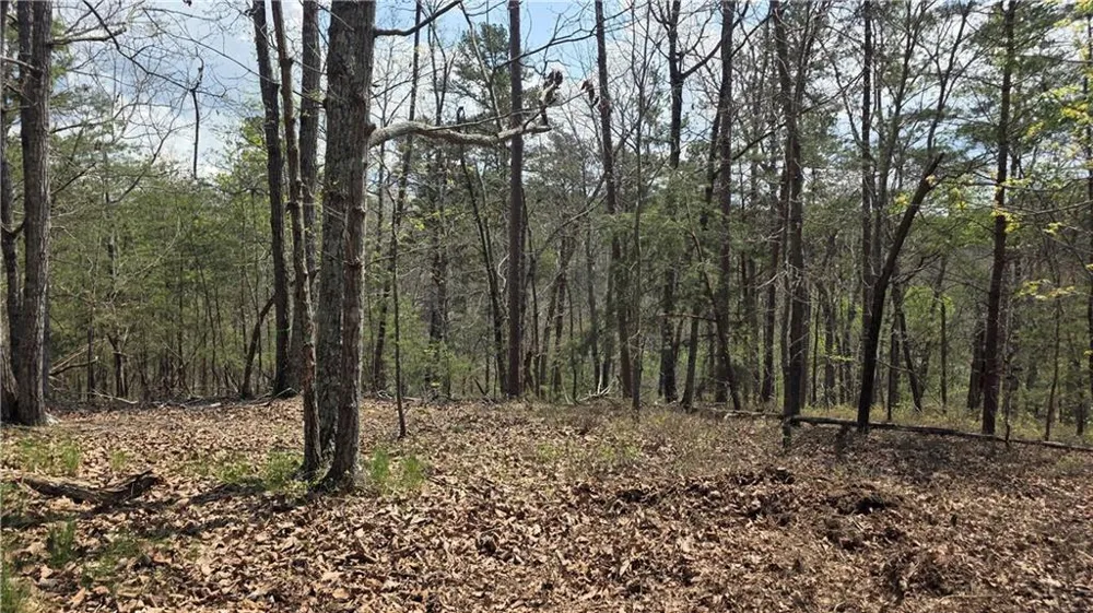 611 Pack Road NE Ranger, GA 30734