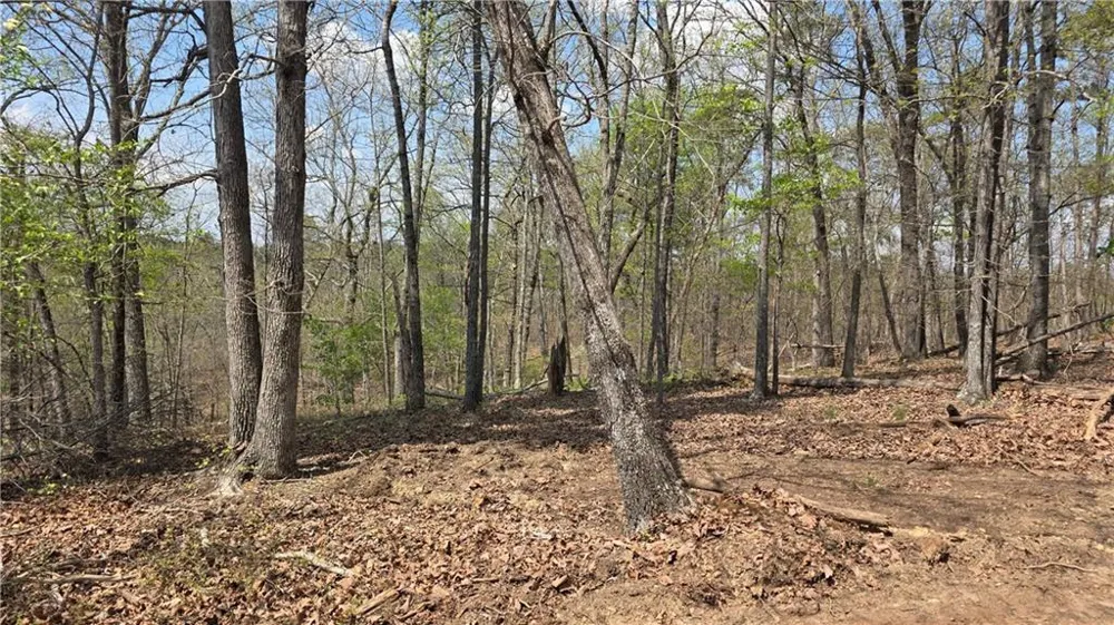 611 Pack Road NE Ranger, GA 30734