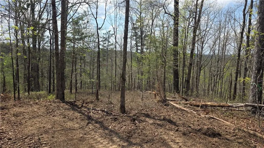 611 Pack Road NE Ranger, GA 30734