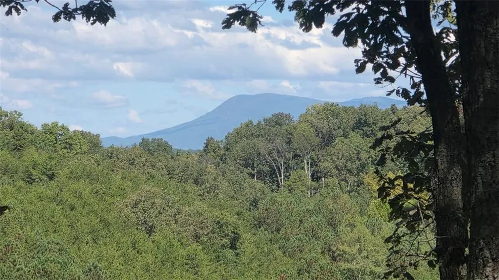611 Pack Road NE Ranger, GA 30734