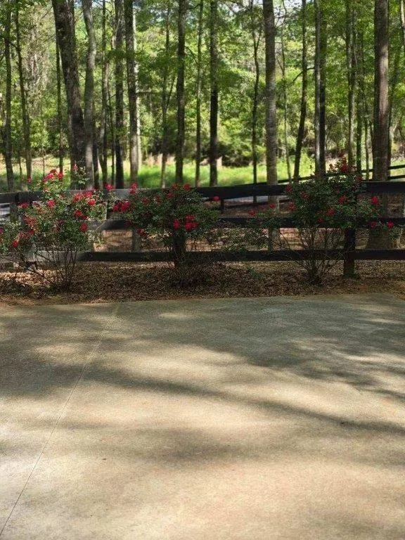 5419 Tyree Winston, GA 30187