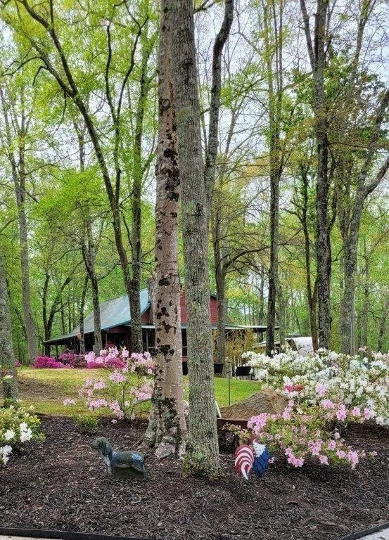 5419 Tyree Winston, GA 30187