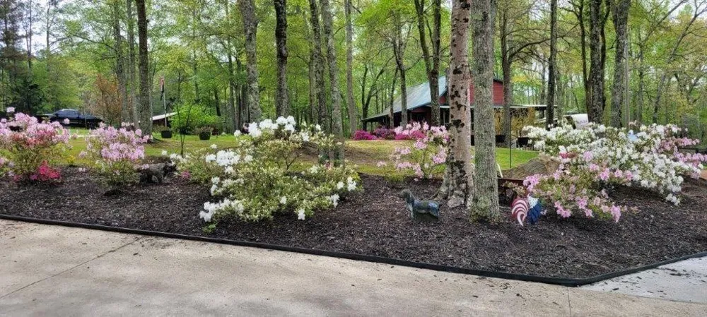 5419 Tyree Winston, GA 30187