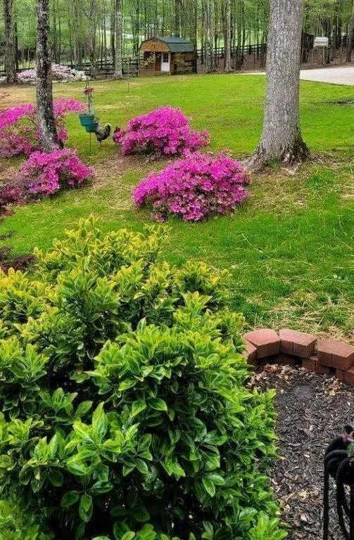 5419 Tyree Winston, GA 30187