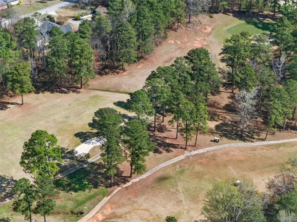 8993 Dornoch Circle Winston, GA 30187