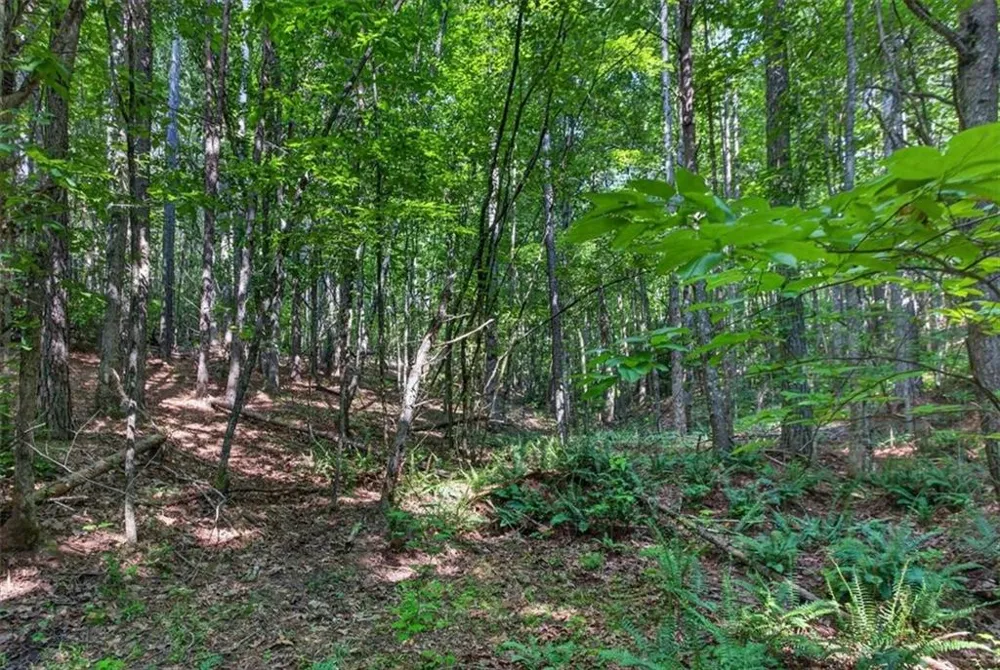 2025 Soap Creek Road Ball Ground, GA 30107