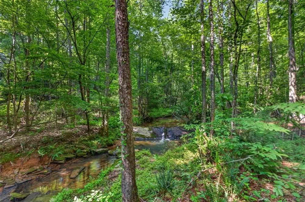 2025 Soap Creek Road Ball Ground, GA 30107