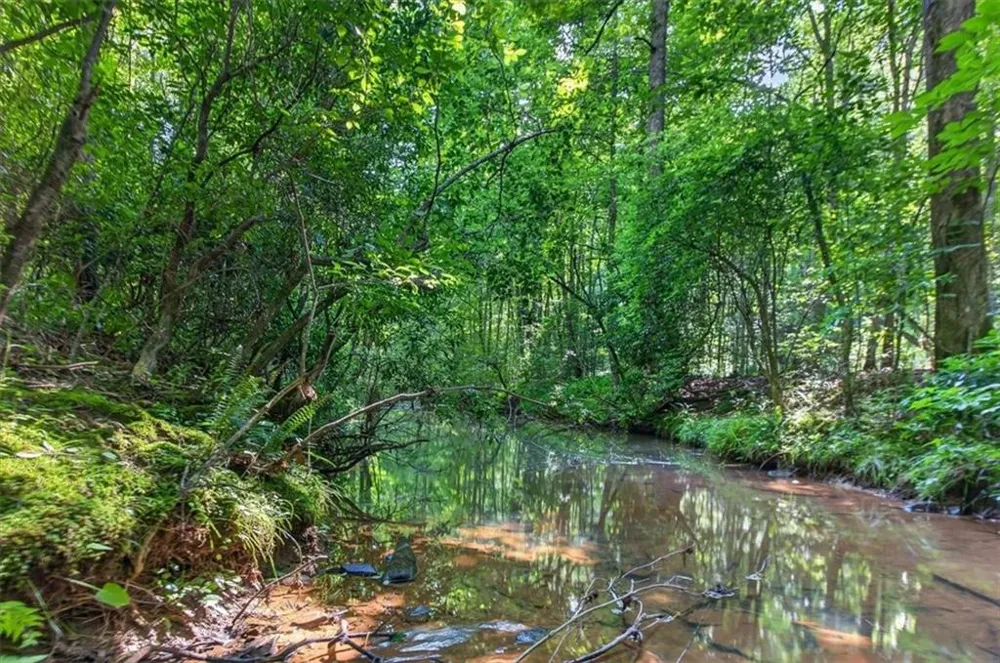 2025 Soap Creek Road Ball Ground, GA 30107