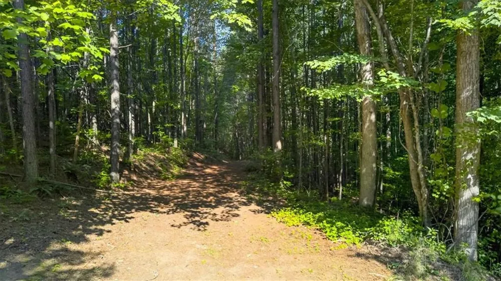 2025 Soap Creek Road Ball Ground, GA 30107