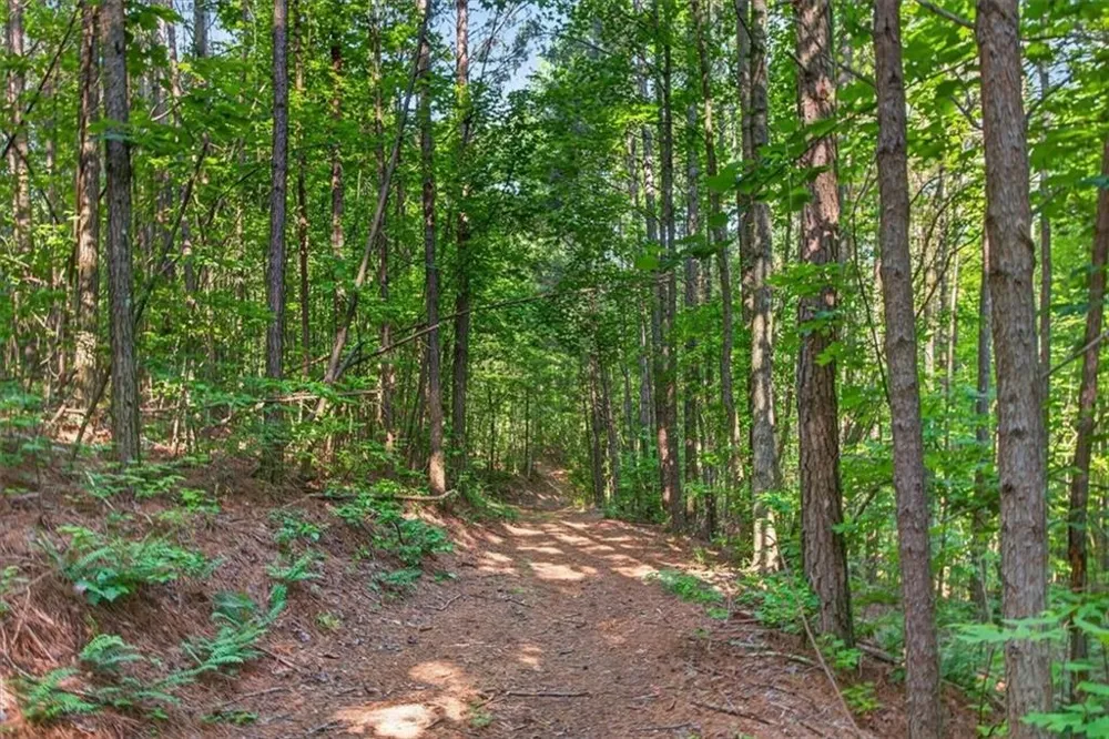2025 Soap Creek Road Ball Ground, GA 30107