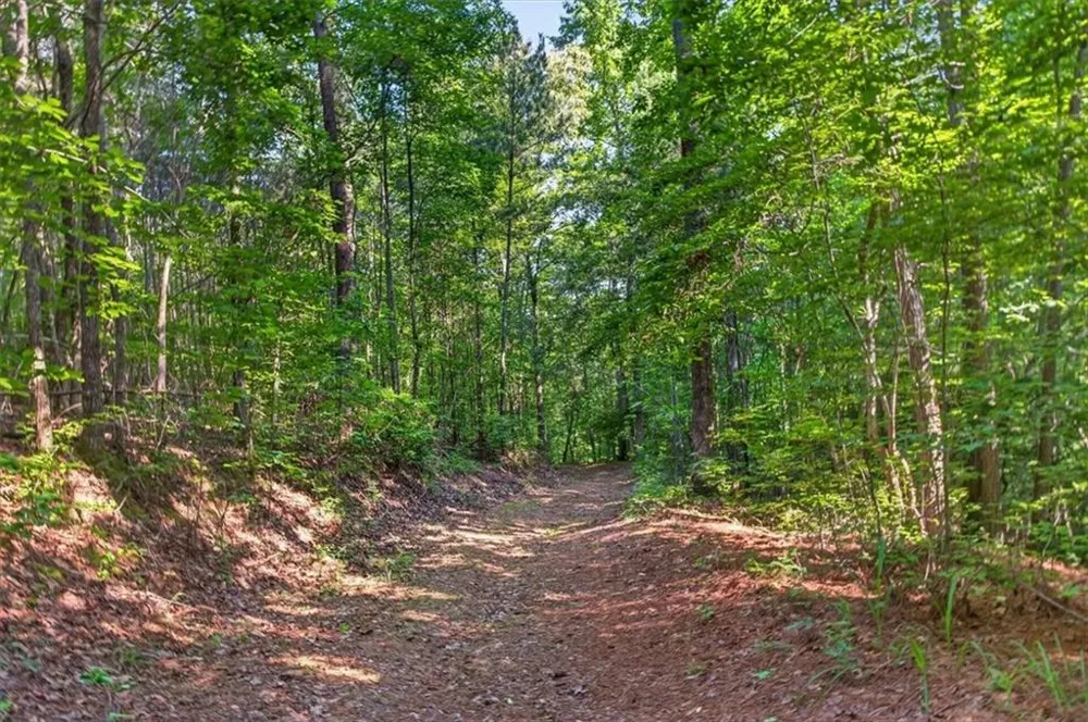 2025 Soap Creek Road Ball Ground, GA 30107