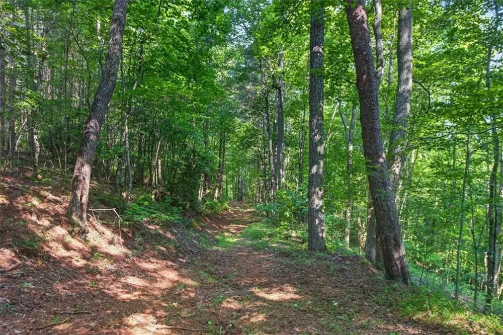 2025 Soap Creek Road Ball Ground, GA 30107