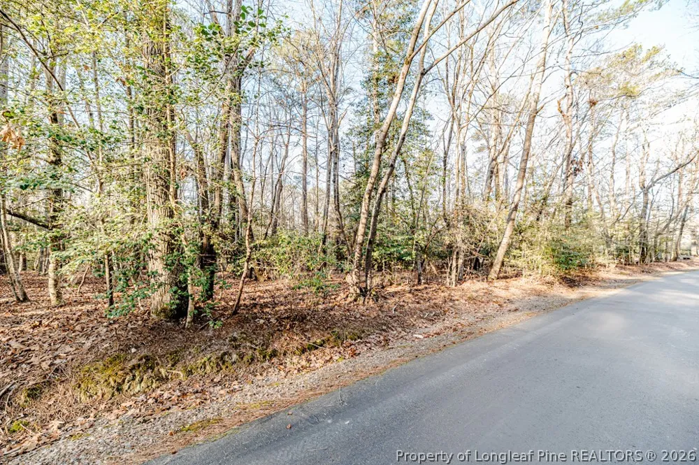 2028 Long Point Trail Sanford, NC 27332