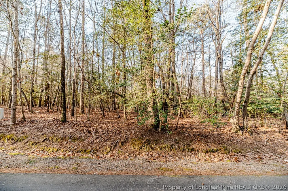2028 Long Point Trail Sanford, NC 27332