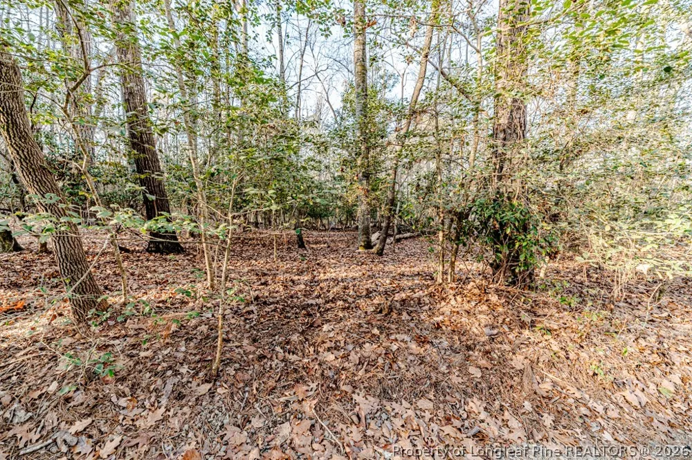 2028 Long Point Trail Sanford, NC 27332