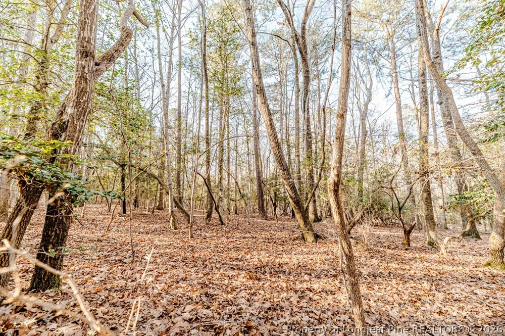 2028 Long Point Trail Sanford, NC 27332