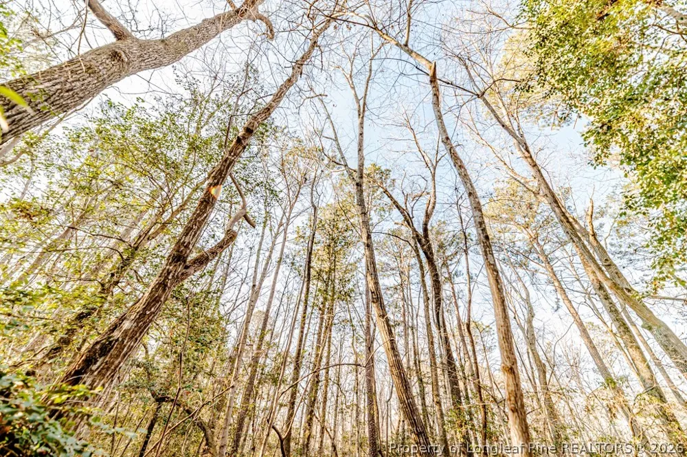 2028 Long Point Trail Sanford, NC 27332