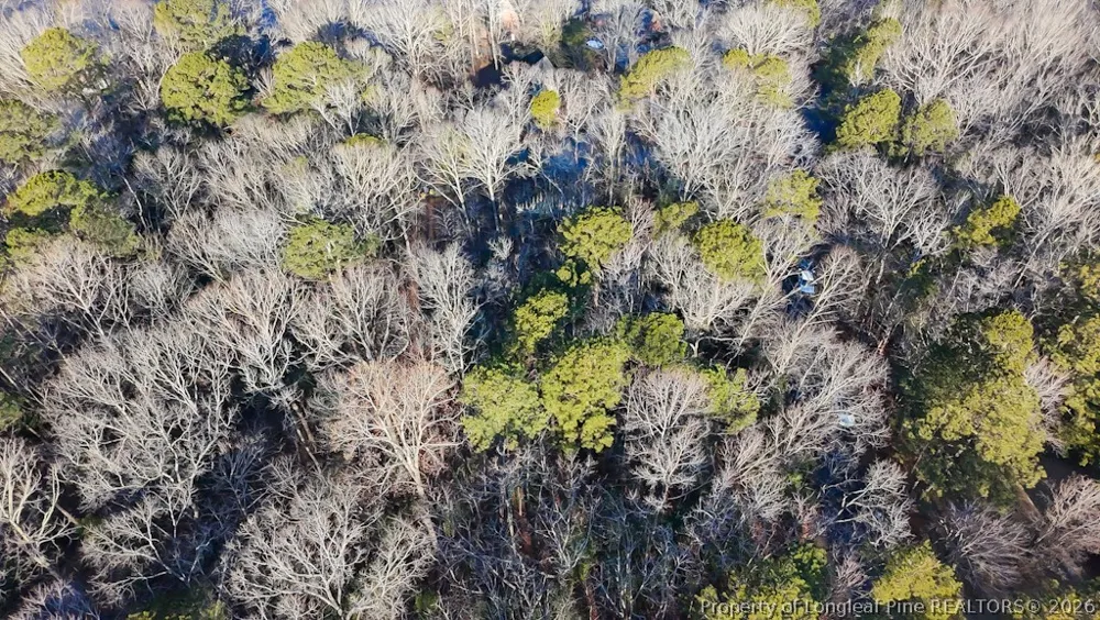 2028 Long Point Trail Sanford, NC 27332