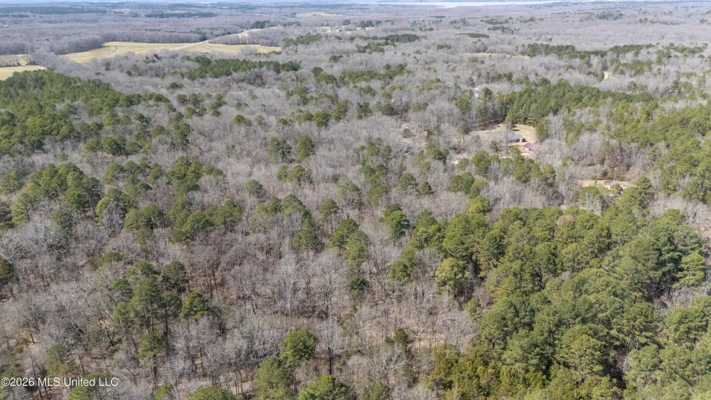 62 County Road 198 Oxford, MS 38655