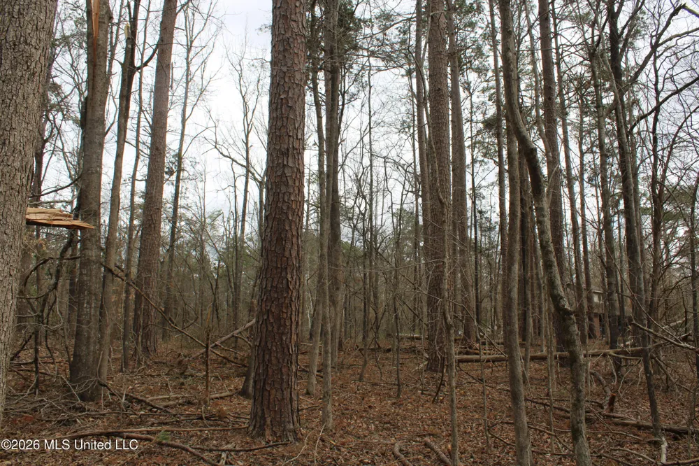 62 County Road 198 Oxford, MS 38655