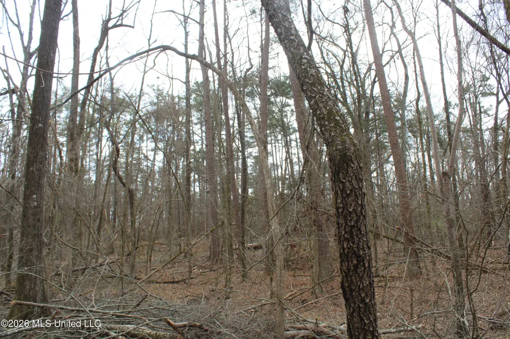 62 County Road 198 Oxford, MS 38655