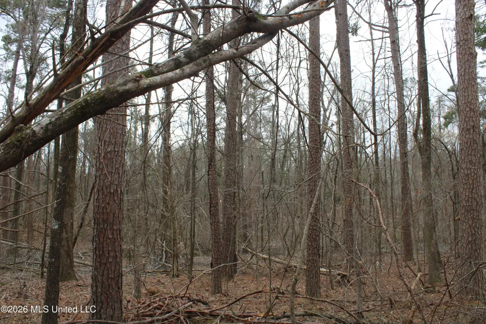 62 County Road 198 Oxford, MS 38655