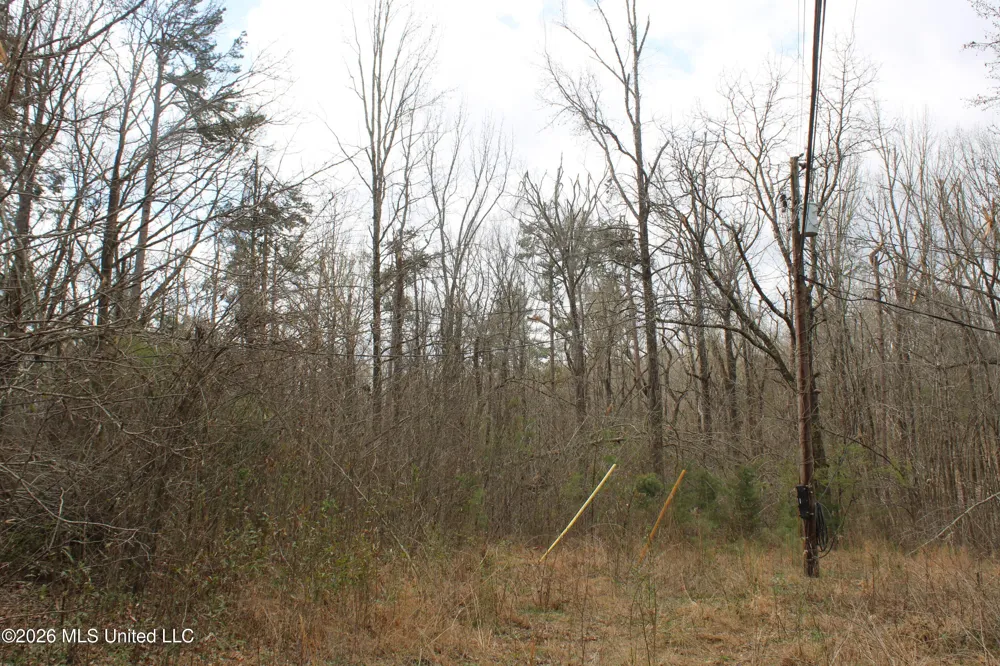 62 County Road 198 Oxford, MS 38655